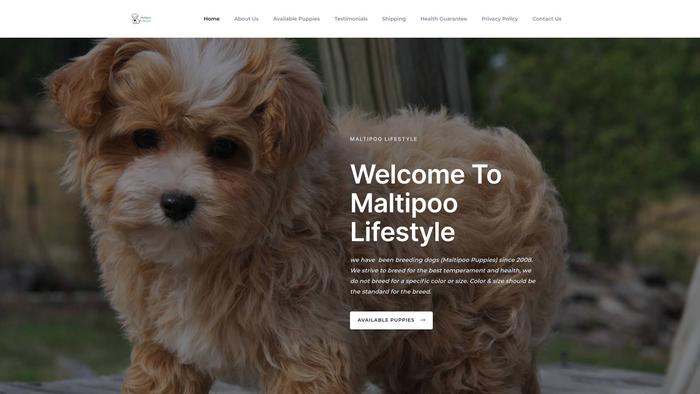 Maltipoolifestyle.com - Maltipoo Puppy Scam Review