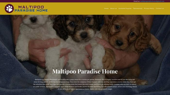 Maltipooparadisehome.com - Maltipoo Puppy Scam Review