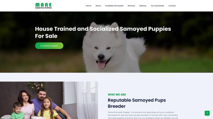 Manesamoyedpuppies.com - Samoyed Puppy Scam Review