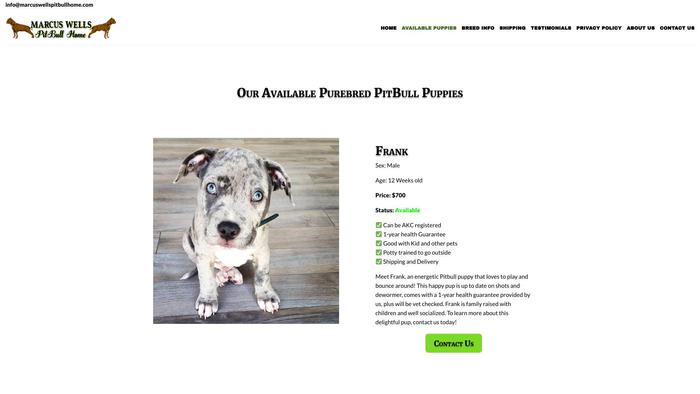 Marcusleonpitbullhome.com - Pit Bull Puppy Scam Review