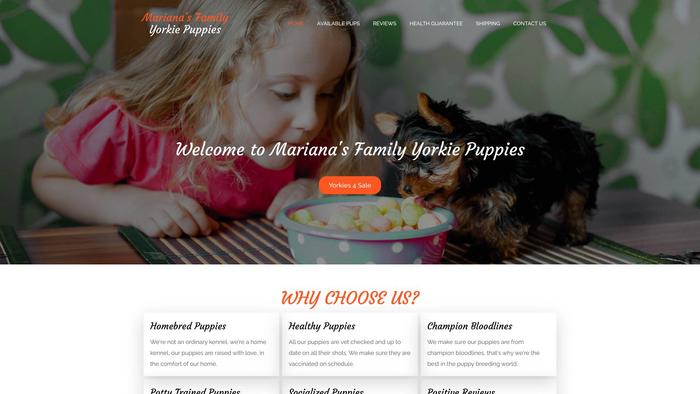 Marianasfamilyyorkiepuppies.com - Yorkshire Terrier Puppy Scam Review