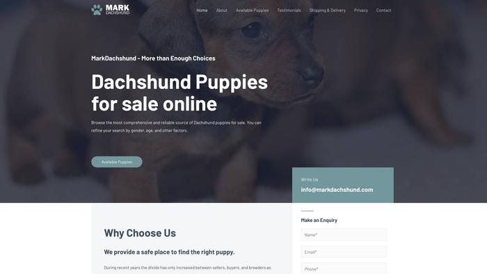 Markdachshund.com - Dachshund Puppy Scam Review