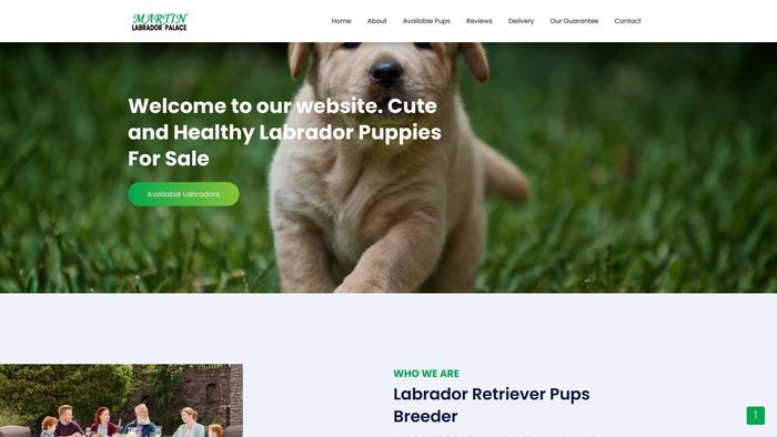 Martinlabradorpalace.com - Labrador Puppy Scam Review