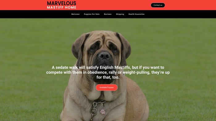 Marvelousmastiffhome.com - Tibetan Mastiff Puppy Scam Review