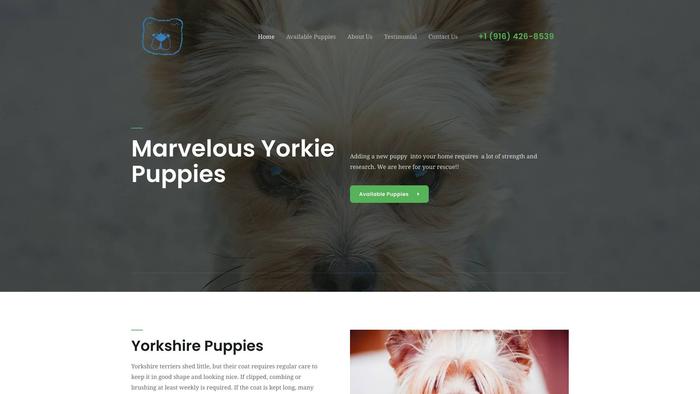 Marvelousyorkiepuppies.com - Yorkshire Terrier Puppy Scam Review