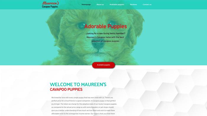 Maureencavapoopuppies.com - Cavapoo Puppy Scam Review