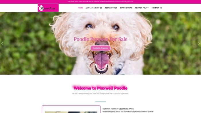 Maxwellpoodle.com - Poodle Puppy Scam Review