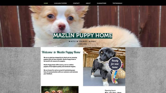 Mazlinpuppyhome.com - French Bulldog Puppy Scam Review