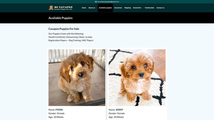 Mccavapoopuppies.com - Cavapoo Puppy Scam Review