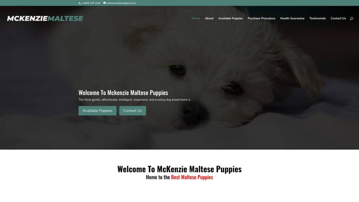 Mckenziemaltese.com - Maltese Puppy Scam Review