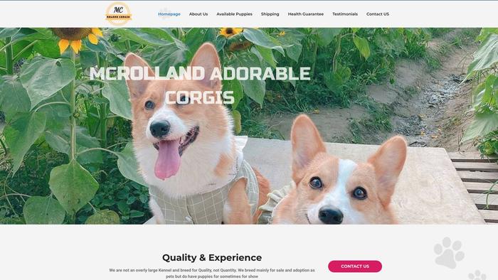 Mcrollandcorgishome.com - Corgi Puppy Scam Review