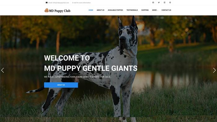 Mdpuppyclub.com - Great Dane Puppy Scam Review