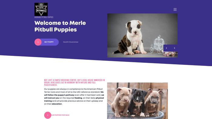 Merlepitbullpuppies.com - Pit Bull Puppy Scam Review