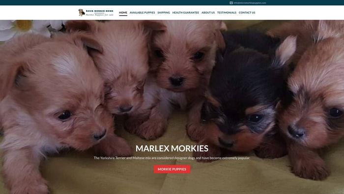 Micromorkiepuppies.com - Yorkshire Terrier Puppy Scam Review