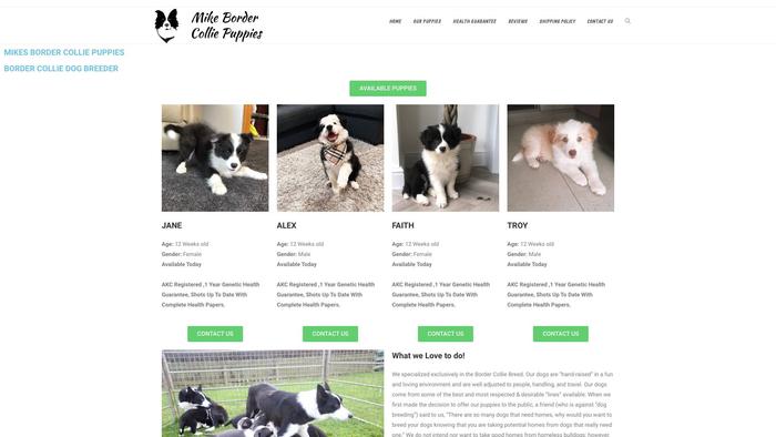 Mikesbordercolliepuppies.com - Bordercollie Puppy Scam Review