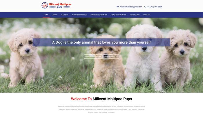 Milicentmaltipoopups.com - Maltipoo Puppy Scam Review