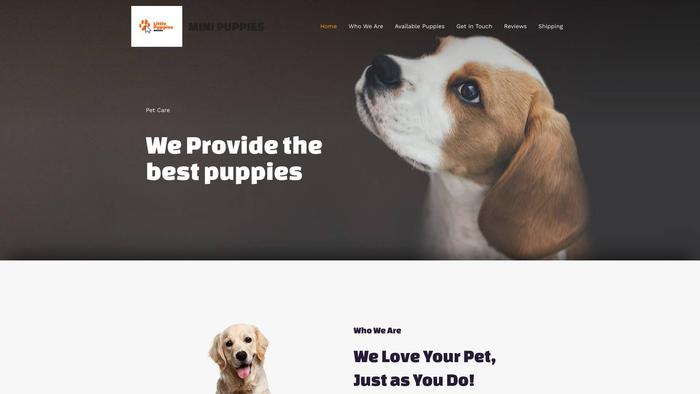 Minicutepuppies.com - Pomeranian Puppy Scam Review