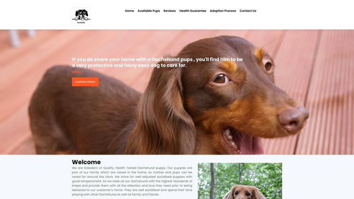 Minidachshundscompanion.com - Dachshund Puppy Scam Review