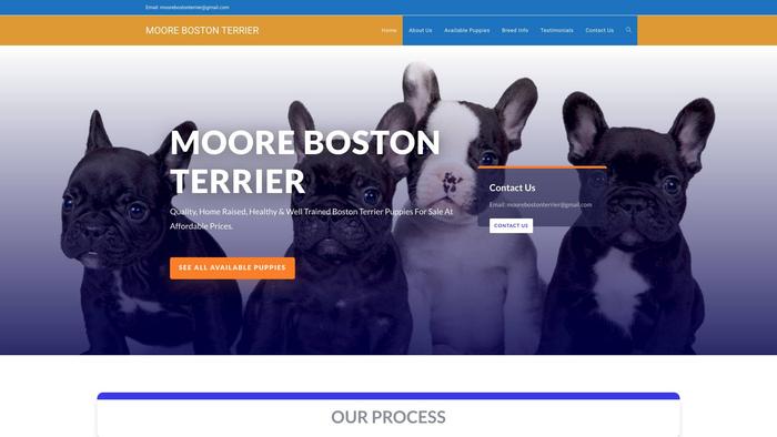 Moorebostonterrier.com - Boston Terrier Puppy Scam Review