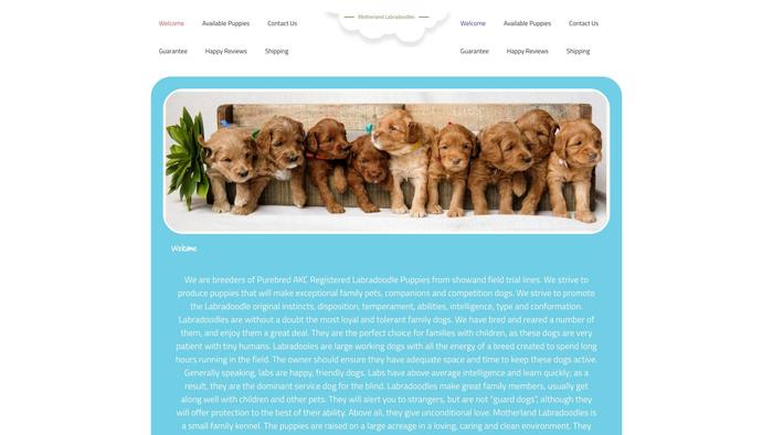 Motherlandlabradoodles.com - Labradoodle Puppy Scam Review