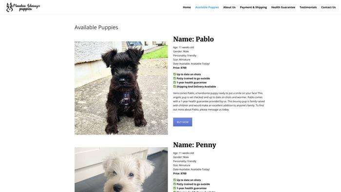 Mountainschnauzerpuppies.com - Schnauzer Puppy Scam Review