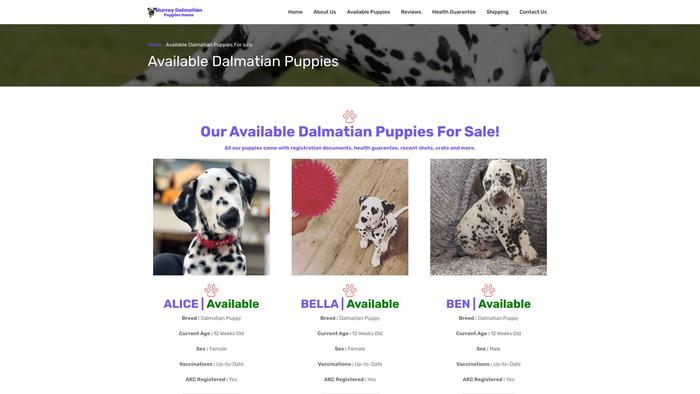 Murraydalmatianpuppieshome.com - Labrador Puppy Scam Review