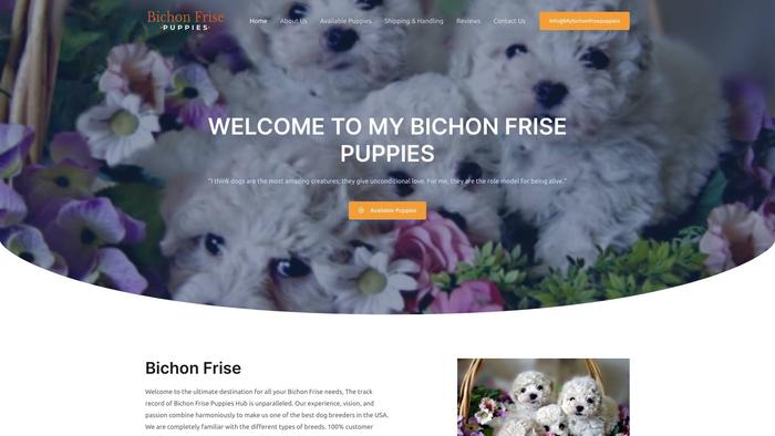 Mybichonfrisepuppies.com - Bichon Frise Puppy Scam Review