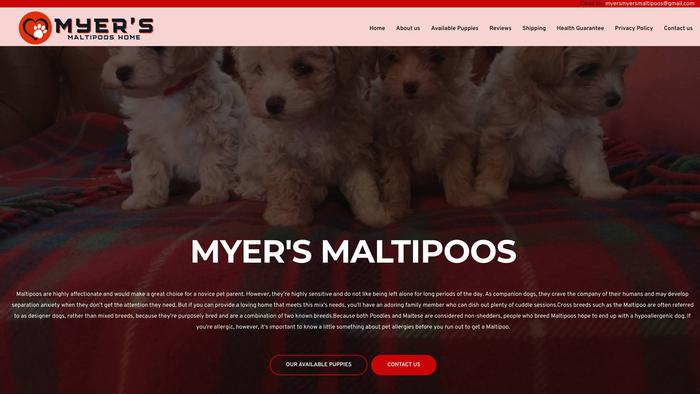 Myersmaltipoos.com - Maltipoo Puppy Scam Review