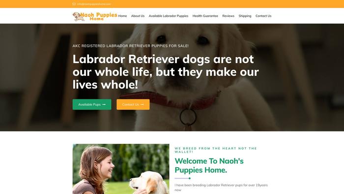 Naohpuppieshome.com - Golden Retriever Puppy Scam Review