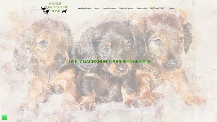 Naomidachshundhome.com - Dachshund Puppy Scam Review