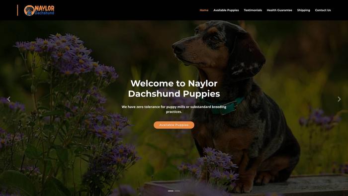 Naylordachshundpuppies.com - Dachshund Puppy Scam Review