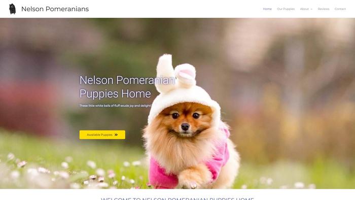 Nelsonpomeranianpuppieshome.com - Pomeranian Puppy Scam Review