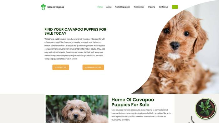 Nicecavapoos.com - Cavapoo Puppy Scam Review