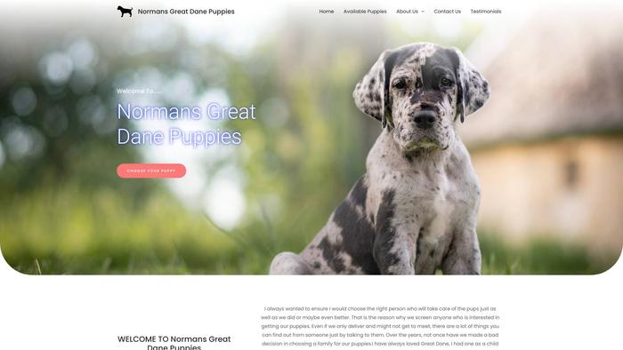 Normansgreatdanepuppies.com - Great Dane Puppy Scam Review