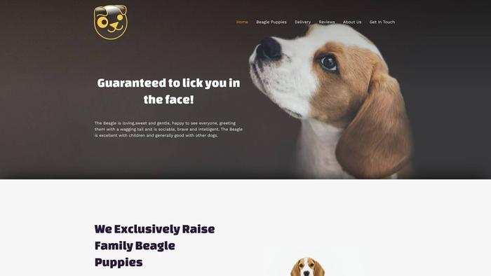 Nutribeagles.com - Beagle Puppy Scam Review