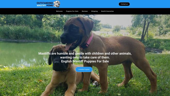 Outstandingmastiffhome.com - Tibetan Mastiff Puppy Scam Review