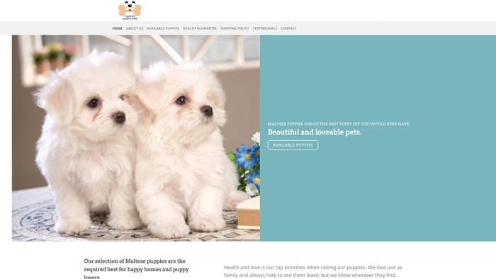 Pagostermaltesehome.com - Maltese Puppy Scam Review