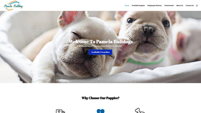 Pamelabulldogs.com - French Bulldog Puppy Scam Review