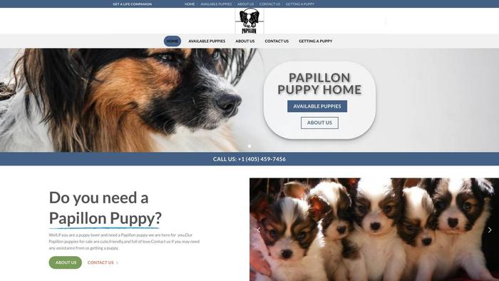 Papillonpuppyhome.com - Papillon Puppy Scam Review