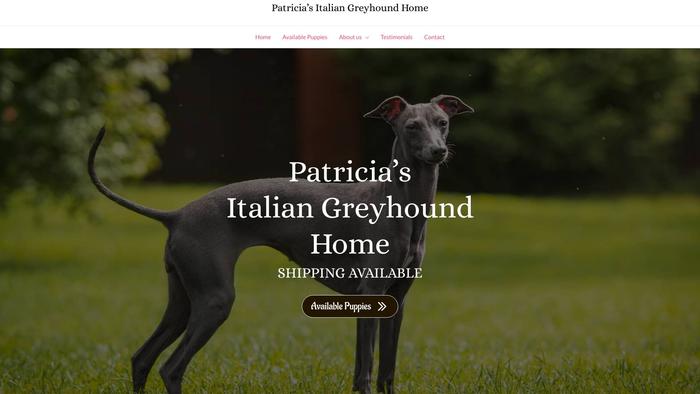 Patriciasitaliangreyhoundhome.com - Labrador Puppy Scam Review