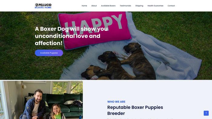 Pellucidboxerpuppies.com - Boxer Puppy Scam Review