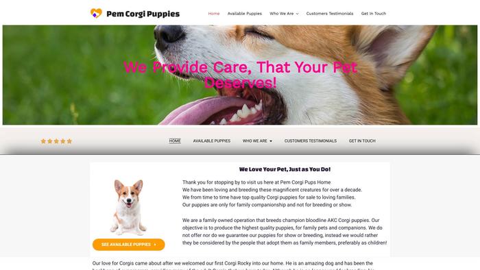 Pemcorgipuppies.com - Corgi Puppy Scam Review