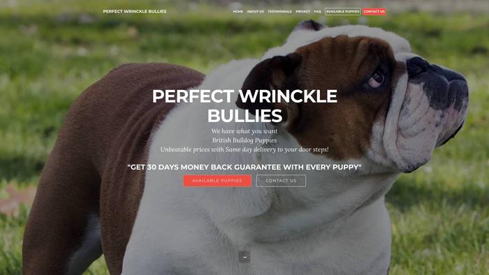 Perfectwrincklebullies.com - English Bulldog Puppy Scam Review