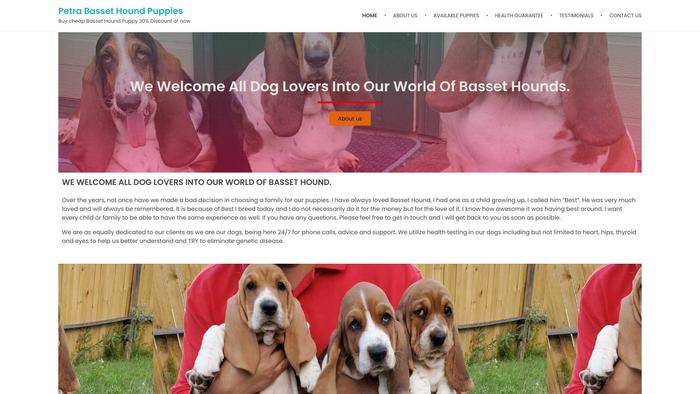 Petrabassethoundpuppies.com - Bassethound Puppy Scam Review