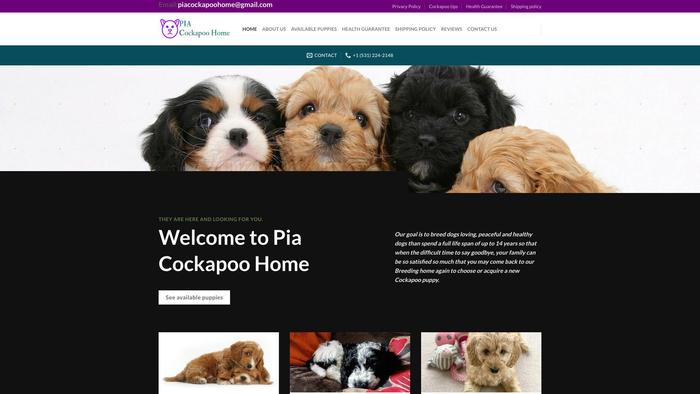 Piacockapoohome.com - Cockapoo Puppy Scam Review