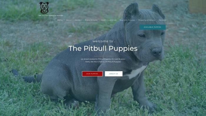 Pitbullpupies.com - Pit Bull Puppy Scam Review