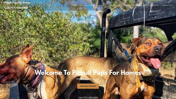 Pitbullpupsforhomes.com - Pit Bull Puppy Scam Review