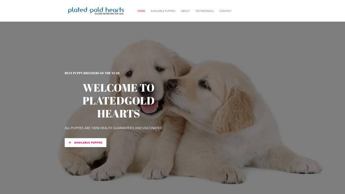 Platedgoldhearts.com - Golden Retriever Puppy Scam Review