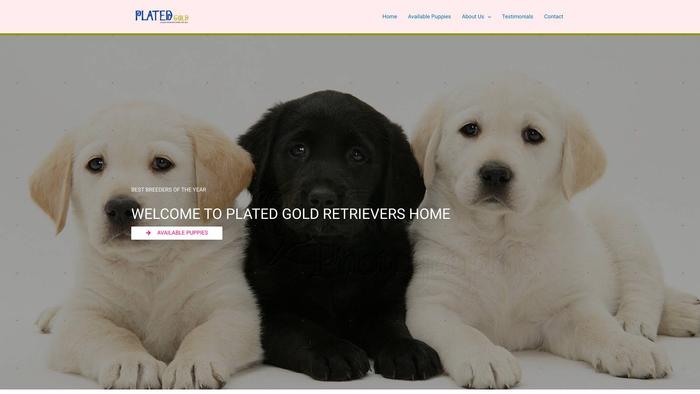 Platedgolds.com - Golden Retriever Puppy Scam Review