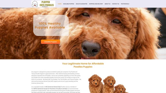 Playpenpoodles.com - Poodle Puppy Scam Review